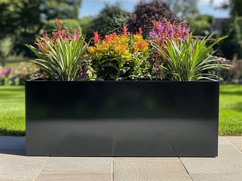 Cheap Trough Planters Uk