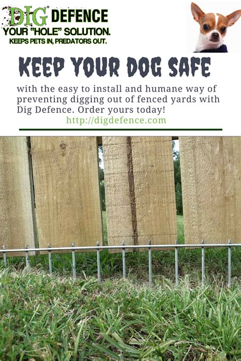 cheap ways to keep dogs from digging under fence