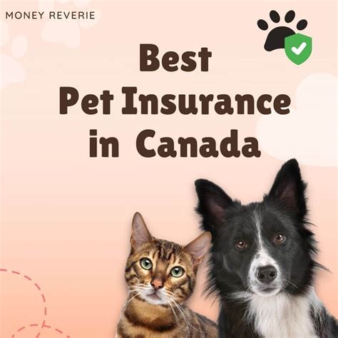 cheapest and best pet insurance in canada