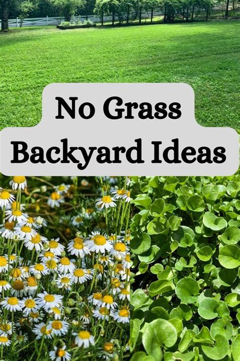 Cheapest Grass Alternative