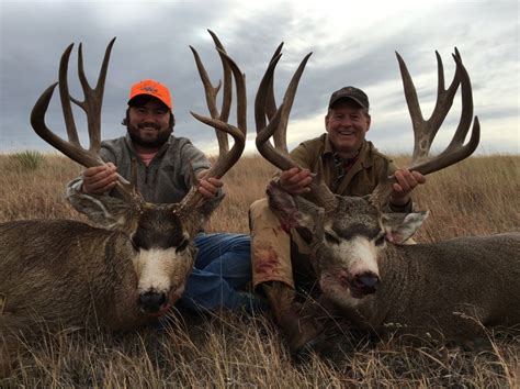 cheapest guided mule deer hunt