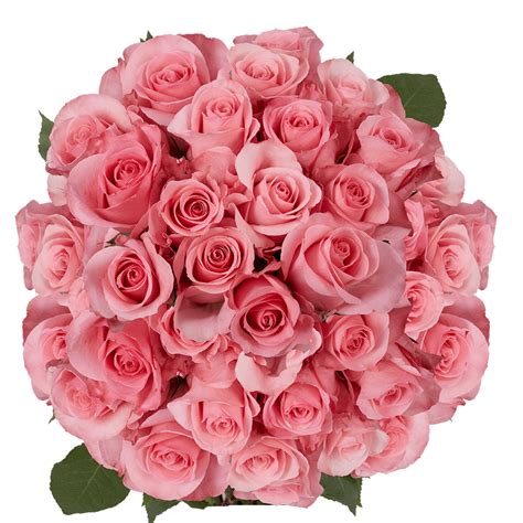 Cheapest Pink Flowers