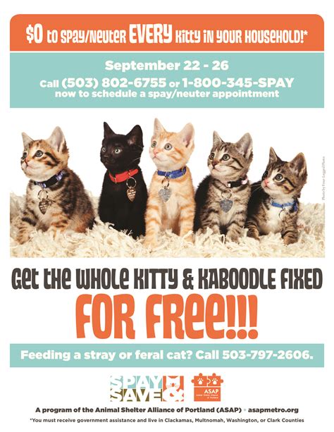 Cheapest Place To Get A Cat Fixed