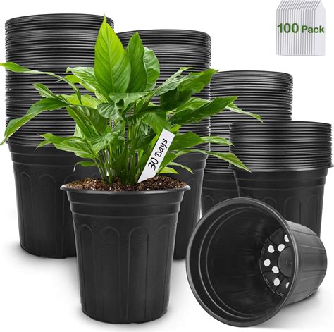Cheapest Plants Pots