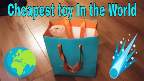 Cheapest Toy Ever