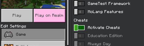Cheat Minecraft Always Day