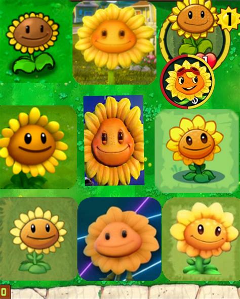 Cheat Plants vs Zombies Sunflower