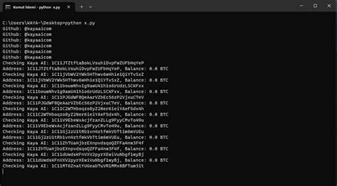 Free Check Bitcoin Address Balance Python For Male
