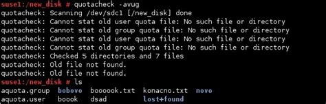 Check Disk Quota Linux Command