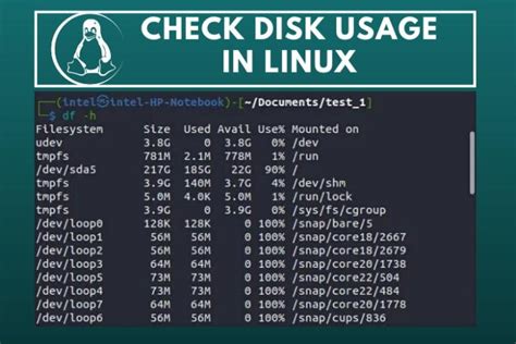 Check Disk Usage Linux Terminal
