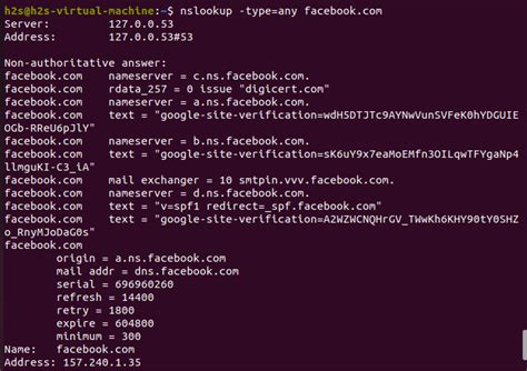 check dns records linux command line