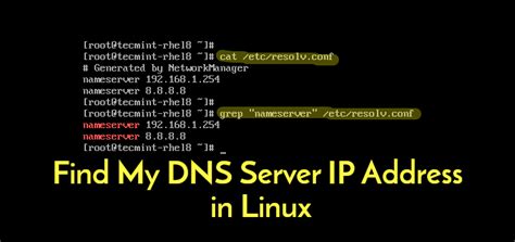 check dns server in linux