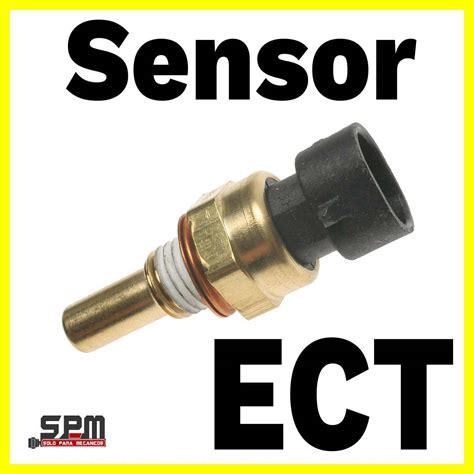 Check Ect Sensor