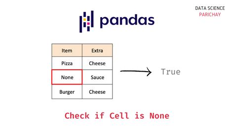 check empty cell in dataframe python