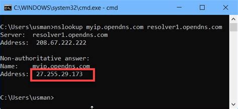 check external ip from command line