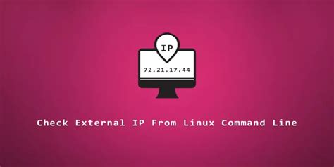 check external ip from linux command line
