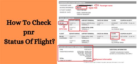 check flight pnr status turkish airlines
