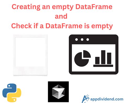 check for empty dataframe python