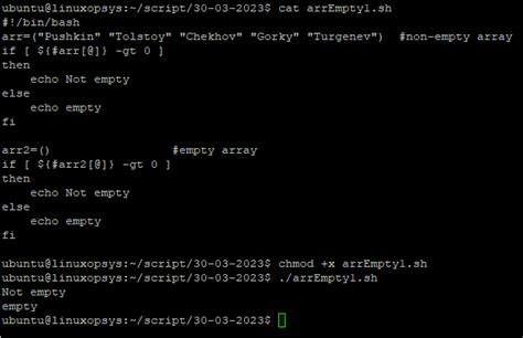 check if array is empty bash