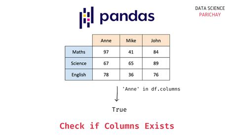 check if pandas dataframe column is empty