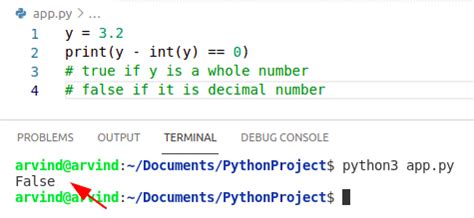 check if something is a whole number python