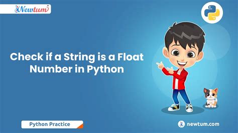check if string is number or float python