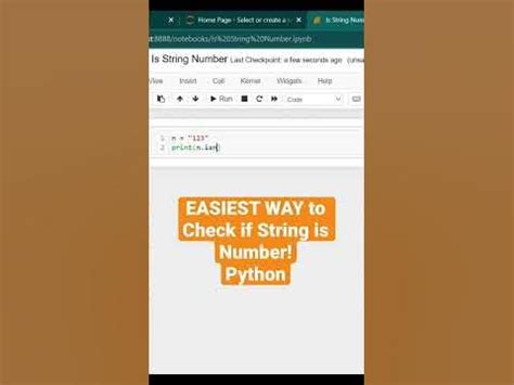 check if string is number python negative