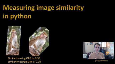 check image similarity python