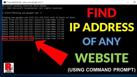 check ip address of website