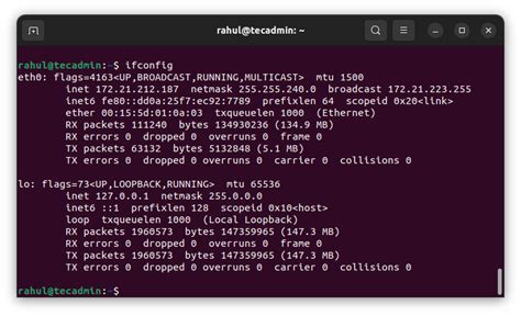 check ip in terminal linux
