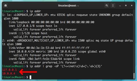check ip linux command line
