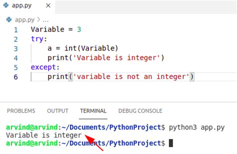 check is integer in python