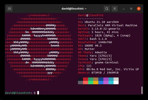 Check Linux Distribution From Command Line