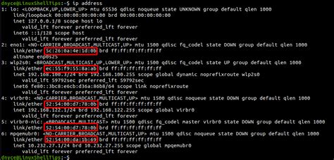 check mac address linux