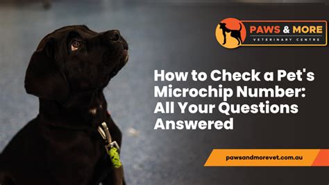check microchip number australia