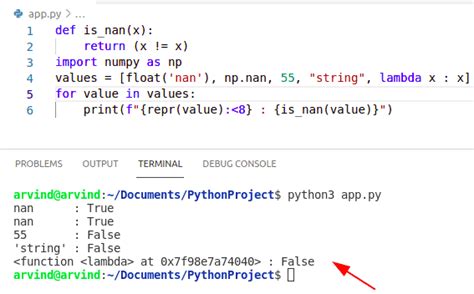 check nan dataframe python