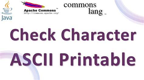 Check Printable Character In Java