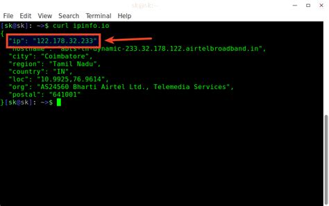 check public ip linux command