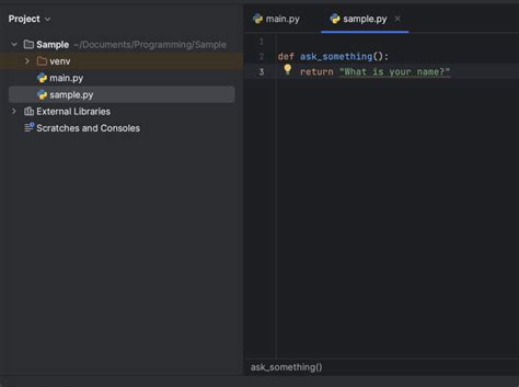 check python module path