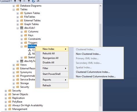 Check Sql Server Index Usage