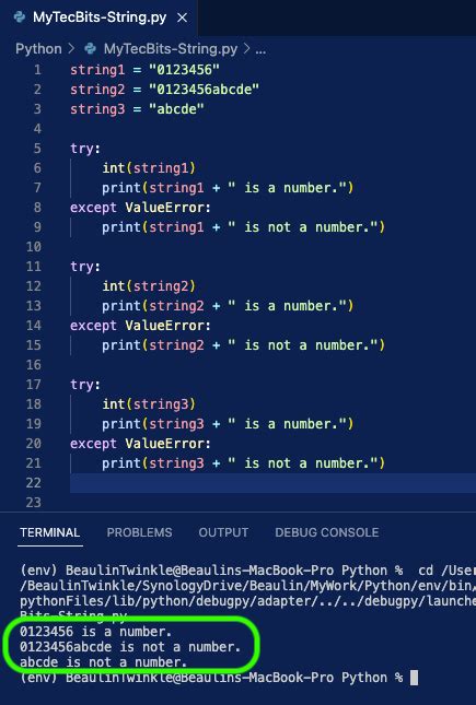 check string is number in python