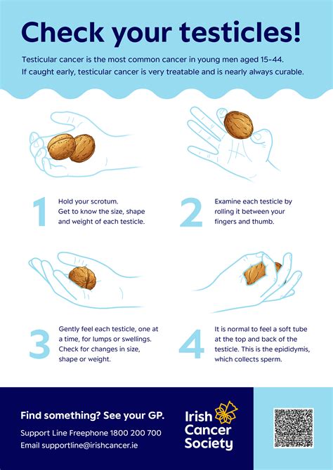 check testicles for lumps