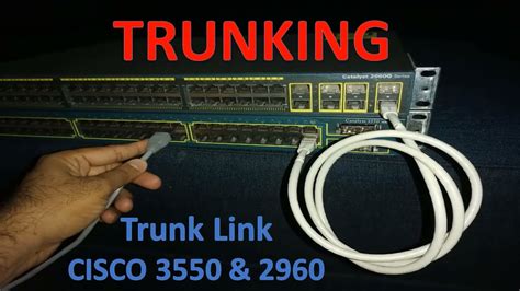 Check Trunk Cisco Switch