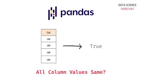 check value in pandas column
