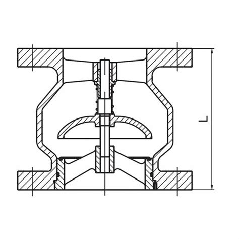 Check Valve Globe Type