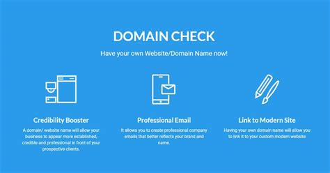 check web domain name