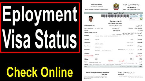 check work visa status uae
