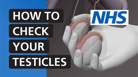 check your testicles