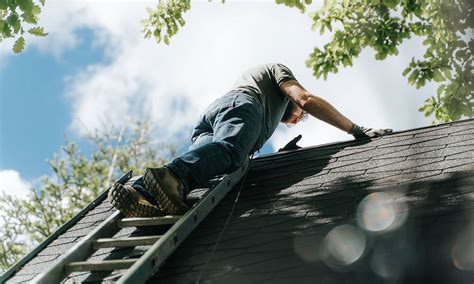 Checking Roof for Damage