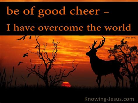 Cheer Definition Bible